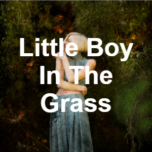 http://images.introcdc.com/Random/Bracket/little boy in the grass.png